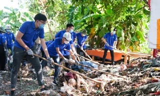 Rực rỡ ‘Mùa Hè Xanh’