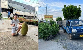 Hành trình kinh doanh cây giống của nam sinh tuổi 19