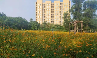 Khuôn viên trường đại học thơ mộng như những thước phim