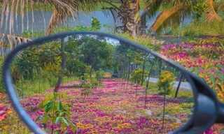 Độc đáo bộ ảnh miền quê qua gương chiếu hậu