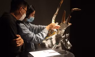 Góc nhìn về cuộc sống của những nghệ sĩ trẻ qua trải nghiệm đa giác quan