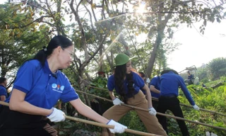 Thành Đoàn TP. HCM triển khai các chương trình, chiến dịch tình nguyện Hè năm 2023