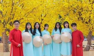 Lễ hội Tết Việt Giáp Thìn tại TP. HCM sẽ khai mạc vào chiều 24/1