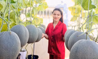 “Bình yên trên cao” giữa lòng Sài Gòn