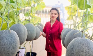 “Bình yên trên cao” giữa lòng Sài Gòn