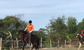 Môn thể thao nào đang thu hút bạn trẻ tại TP. HCM vào Hè này?