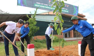 Tuổi trẻ Long An ra quân trồng mới 6.000 cây xanh đô thị