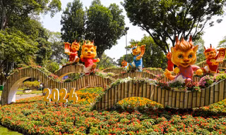 Hội Hoa Xuân TP. HCM Giáp Thìn khai mạc đón khách 