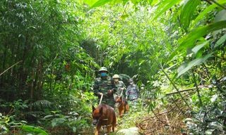 Đường Văn Thái bị bắt vì xâm nhập trái phép vào Việt Nam 