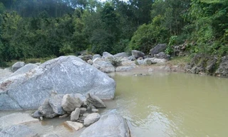 Ảnh minh hoạ. Nguồn: Internet