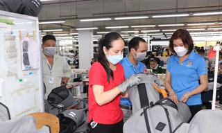 Sắp tổng điều tra kinh tế toàn quốc