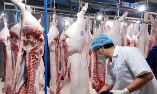 Nhu cầu tiêu thụ thịt lợn của người dân Việt Nam rất lớn đang là mảng miếng béo bở cho doanh nghiệp có tiềm lực