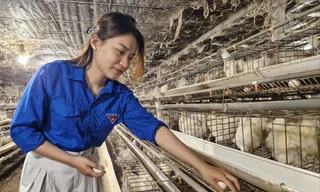 Chị Phạm Thị Nhân thành công với mô hình nuôi gà ác