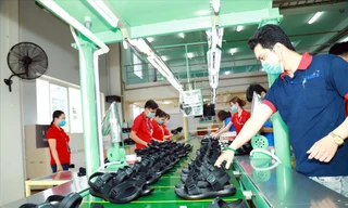 Doanh nghiệp xuất khẩu chịu gánh nặng chi phí tăng cao