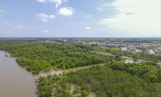 Khu Bảo tồn thiên nhiên đất ngập nước Tiền Hải mà UBND tỉnh Thái Bình đang quy hoạch giảm diện tích