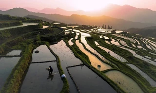 Thạch tín trong gạo có thể tăng khi nhiệt độ tiếp tục tăng