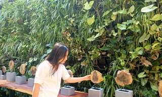 Du khách tham quan, tìm hiểu về tác phẩm ảnh Buôn Ma Thuột xưa