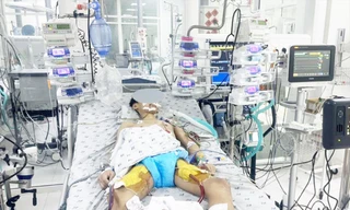 Nguy cơ trẻ bị viêm cơ tim 