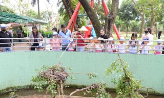 Du khách tham quan các loài rắn tại Trại rắn Đồng Tâm