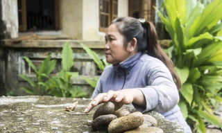 Vợ lão nông Sáu Lực với đống đá từng bị kẻ xấu ném vô nhà khủng bố tinh thần. Ảnh: Văn Chương