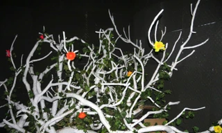 Từ ánh sáng của điện thoại chiếu lên từng bông hoa thì chúng sẽ phản hồi những âm thanh khác nhau