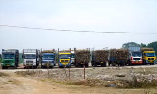 Hàng loạt ô tô quá khổ tập kết ở khuôn viên Nhà máy Đường An Khê