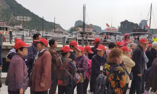 Lượng khách du lịch đổ về vịnh Hạ Long ngày một đông gây quá tải cho di sản