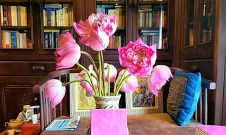 Bìa "Chút sen còn lại"