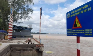 Khu vực cảnh báo sạt lở bờ sông Cổ Chiên được UBND tỉnh Vĩnh Long công bố tình huống khẩn cấp. ẢNH: CK