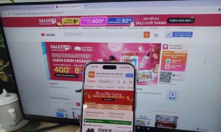 Temu thu hút người mua ở Việt Nam nhờ chính sách bán hàng giá rẻ hơn các sàn thương mại được cấp phép chính thức ở Việt Nam