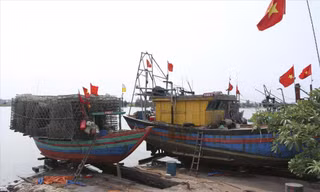 Tàu cá chưa đăng kiểm dài từ 6-12m, đánh bắt gần bờ 