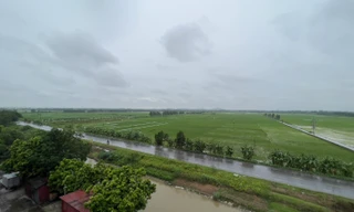 Khu đất nghĩa trang cát táng có tên Bảo Lạc Viên (tại xã Long Châu, huyện Yên Phong, tỉnh Bắc Ninh) hiện chỉ là đất ruộng của người dân