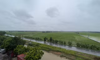 Khu đất nghĩa trang cát táng có tên Bảo Lạc Viên (tại xã Long Châu, huyện Yên Phong, tỉnh Bắc Ninh) hiện chỉ là đất ruộng của người dân