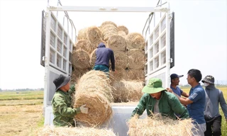 Chiếc máy gom rơm giúp giải phóng sức người, tăng năng suất lao động