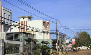 Nuôi chim yến gần khu dân cư gây ô nhiễm tiếng ồn