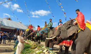 Du khách thích thú xem tiệc buffet cho voi tại Hội voi Buôn Đôn năm 2025. Ảnh: Tuấn Nguyễn