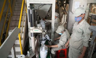 DN nhỏ là đối tượng “chết” nhiều nhất. Ảnh: Như Ý