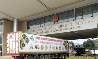 Trong 11 tháng, xuất khẩu hàng hóa Việt Nam sang Trung Quốc đạt 55,5 tỷ USD, tăng 6,2% so với cùng kỳ năm ngoái