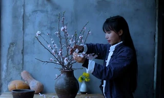 “Tiên nữ đồng quê” Lý Tử Thất có nguy cơ mất trắng tất cả những gì mình đã xây nên