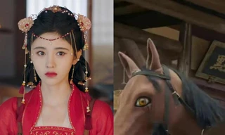 Không chỉ Cúc Tịnh Y trong “Gia Nam Truyện”, Triệu Lệ Dĩnh cũng từng cưỡi ngựa "pha ke"