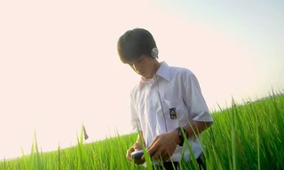 Trưởng thành đã khác thuở ấu thơ, nhưng đối với mình mùa Hè như còn mãi