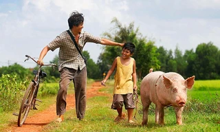 Bài dự thi “Ký ức mùa Hè của tôi”: Tuổi thơ nào chăn vịt nhặt trứng trên đồng