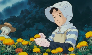 Khi những cơn mưa đầu mùa rơi xuống, bầy bù rầy của ông ngoại bay về lại bên tôi