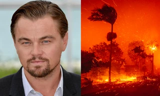 Leonardo DiCaprio và nhiều sao Hollywood mất nhà trong vụ cháy ở Los Angeles
