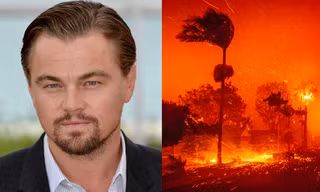 Leonardo DiCaprio và nhiều sao Hollywood mất nhà trong vụ cháy ở Los Angeles