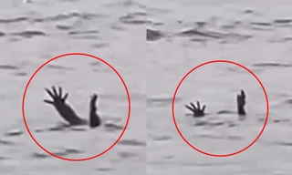 Cá sấu Indonesia bị nghi vờ chết đuối dụ con người xuống nước, “chiến lược săn mồi” mới?