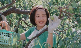 Ký ức mùa Hè của tôi: Nhớ dàn đồng ca của riêng mùa hạ, kẻ thì lạ người phải chia xa