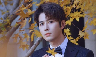 Cnet cảm thán cho sự nghiệp đóng phim của Trần Học Đông: Lãng phí cả thanh xuân