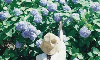 Bạn đọc sáng tác: Trưởng thành là chấp nhận bản thân không hoàn hảo và vị tha điều đó