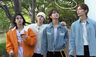 Seventeen nhận mưa lời khen từ netizen Hàn khi bảo vệ fan khỏi bị quấy rối